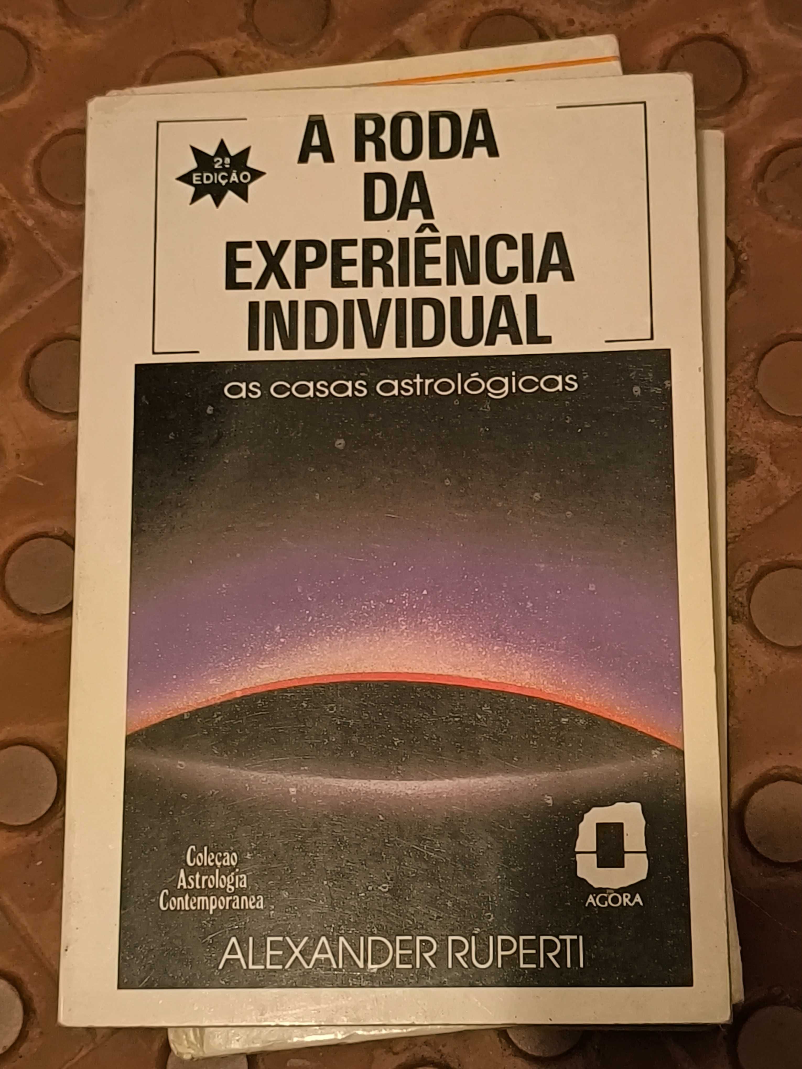 A Roda da Experiência Individual
As casas astrológicas
de A. Ruperti