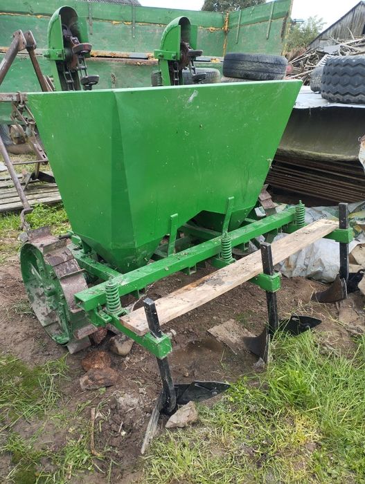 Szadzarka  kubełkowa