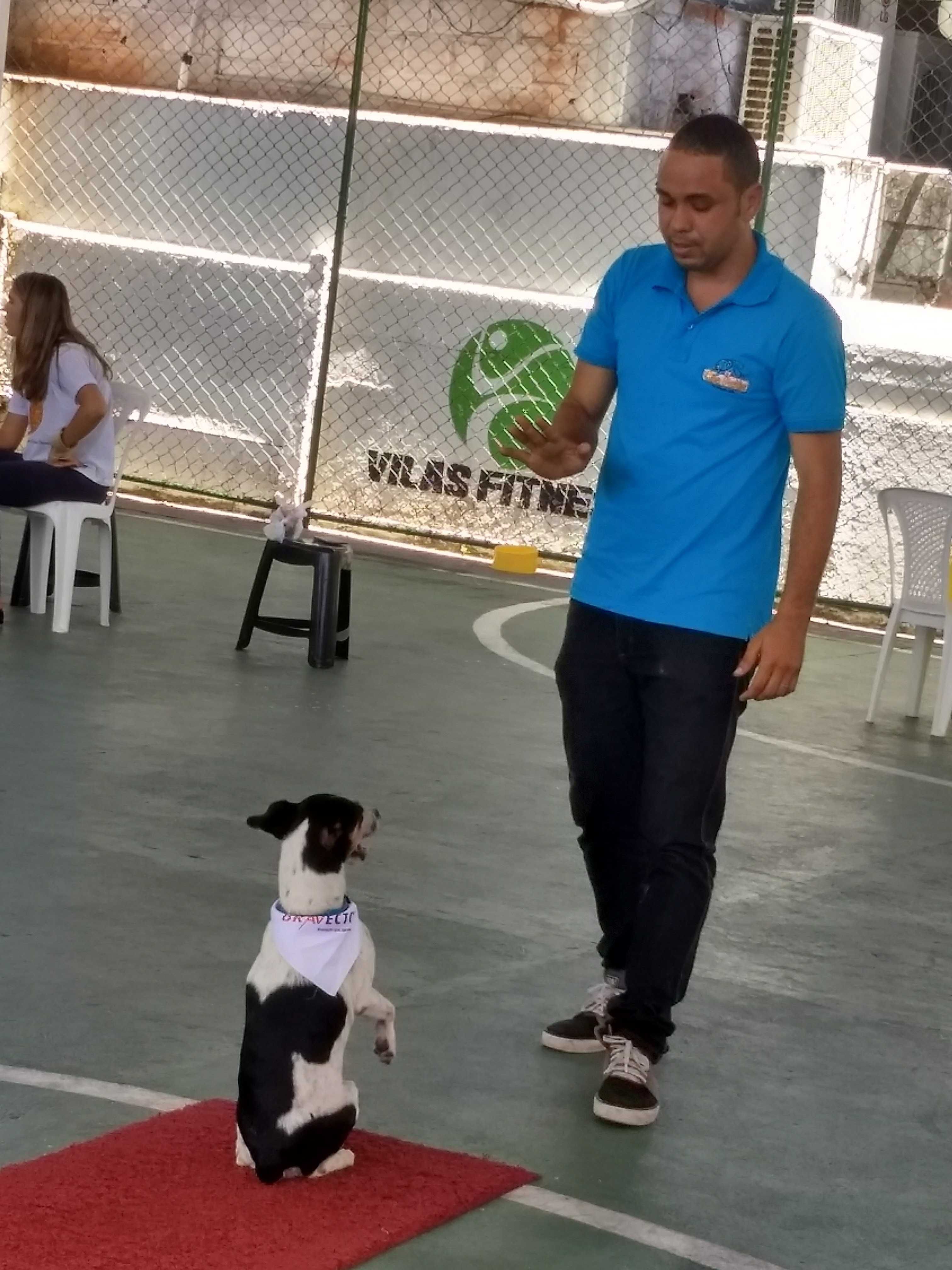 Treinador de cães