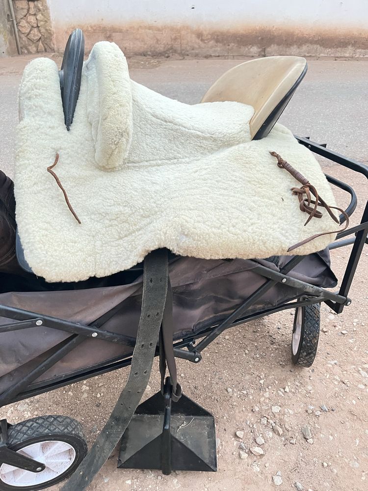 Montura a espanhola completa