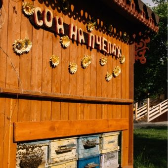 Сон на бджолах, сон на пчелах Аэроапитерапия, оздоровления