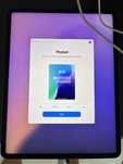 iPad Pro 12,9" 5gen 256GB cellular szary iCloud