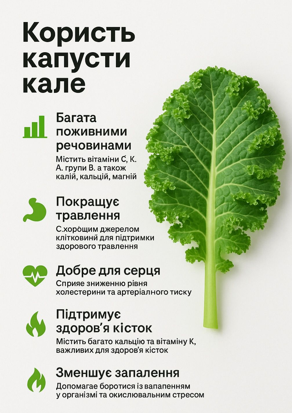 Порошок капусти Кале(Кейл)– суперфуд для імунітету та енергії! 100% н