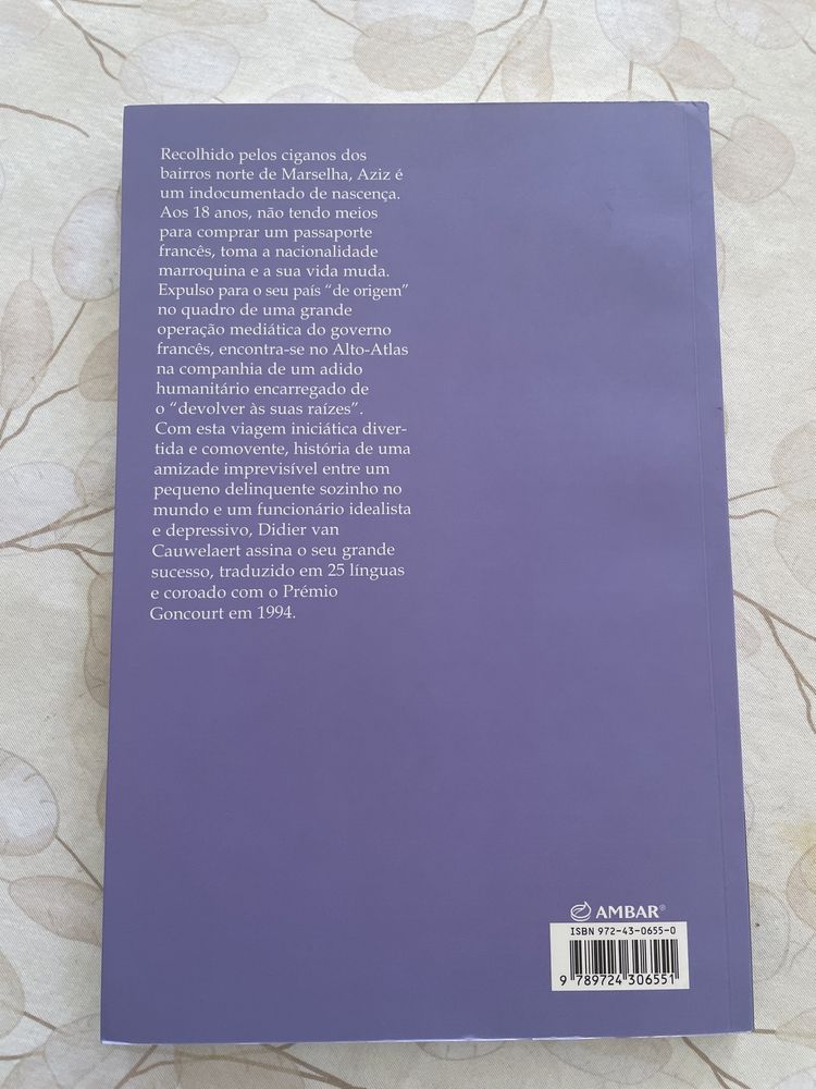 Um bilhete só de Ida - Didier van Cauwelaert Âmbar