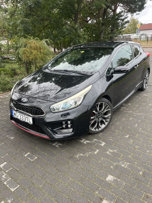 KIA PRO CEED GT 1.6 204km temponat ksenon kubełki navi