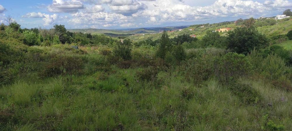 Terreno rústico em Cardosas - Arruda dos Vinhos