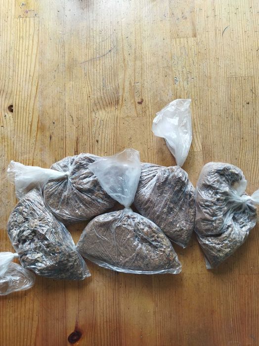 propolis kit pszczeli