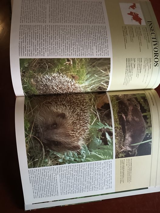 Roedores, insectívoros e marsupiais;	Coleção Animais de todo o Mundo*