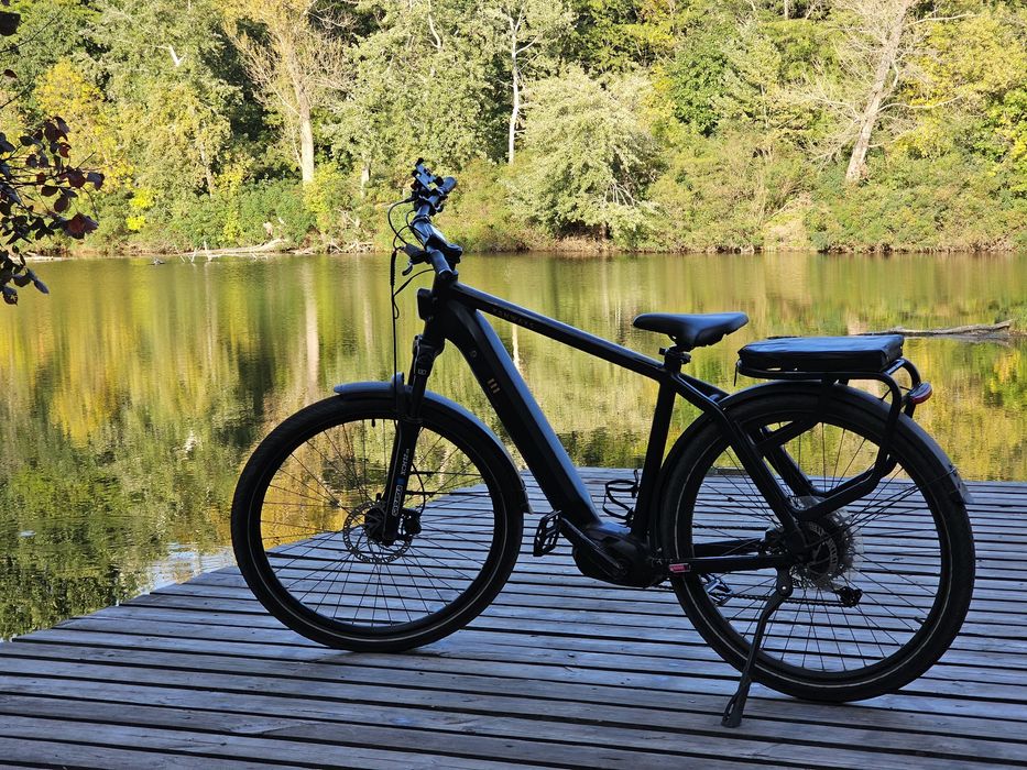 50КМ/Ч 100КМ АККУМ | Мощный электровелосипед SUV Tenways AGO X