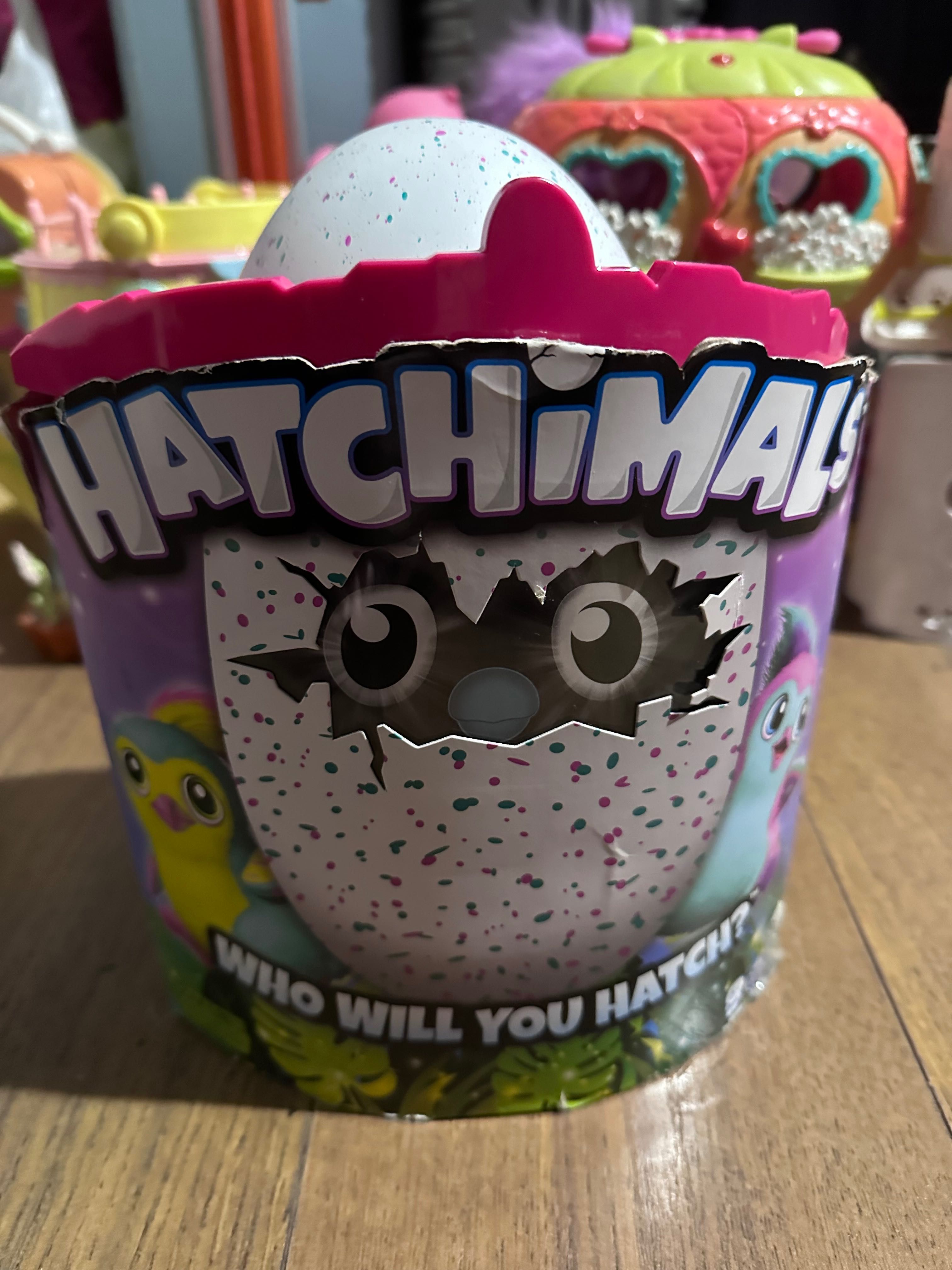 Hatchimals interaktywny zwierzak