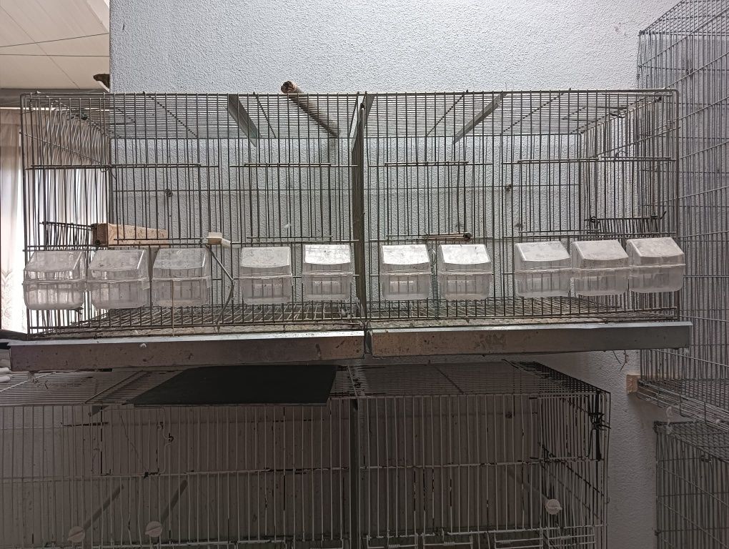 Viveiros para qualquer tipo de pássaros