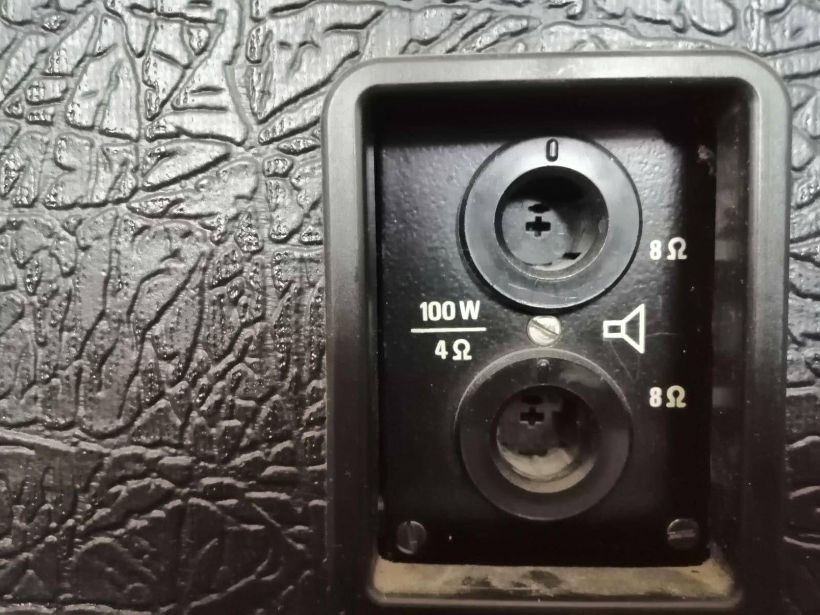 Wzmacniacz Eltron 100 U