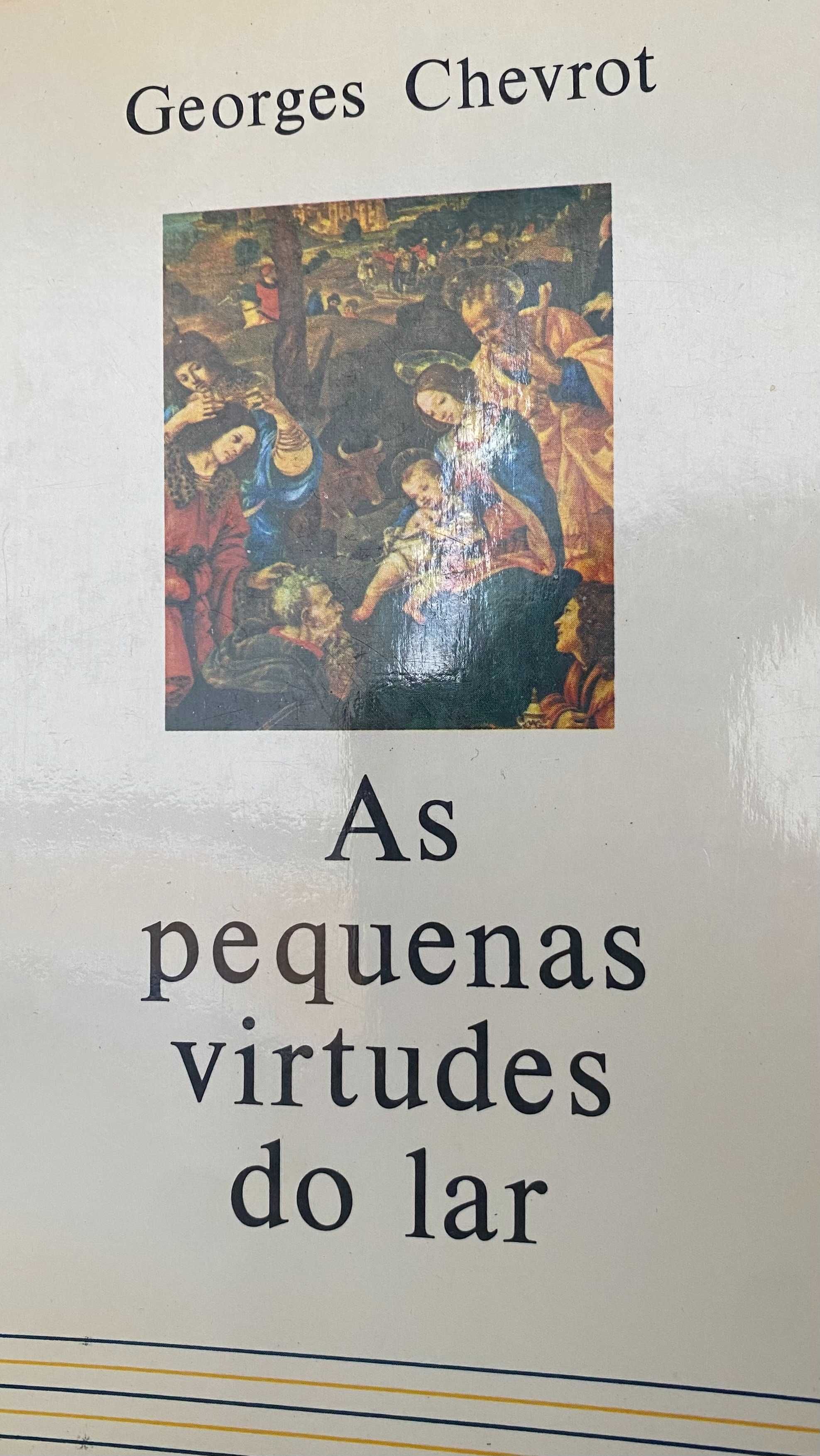 livro em bom estado, as pequenas virtudes do lar