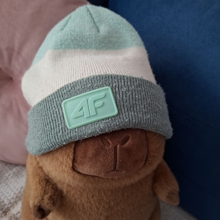 Czapka zimowa 4f