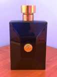 Versace pour homme dylan blue