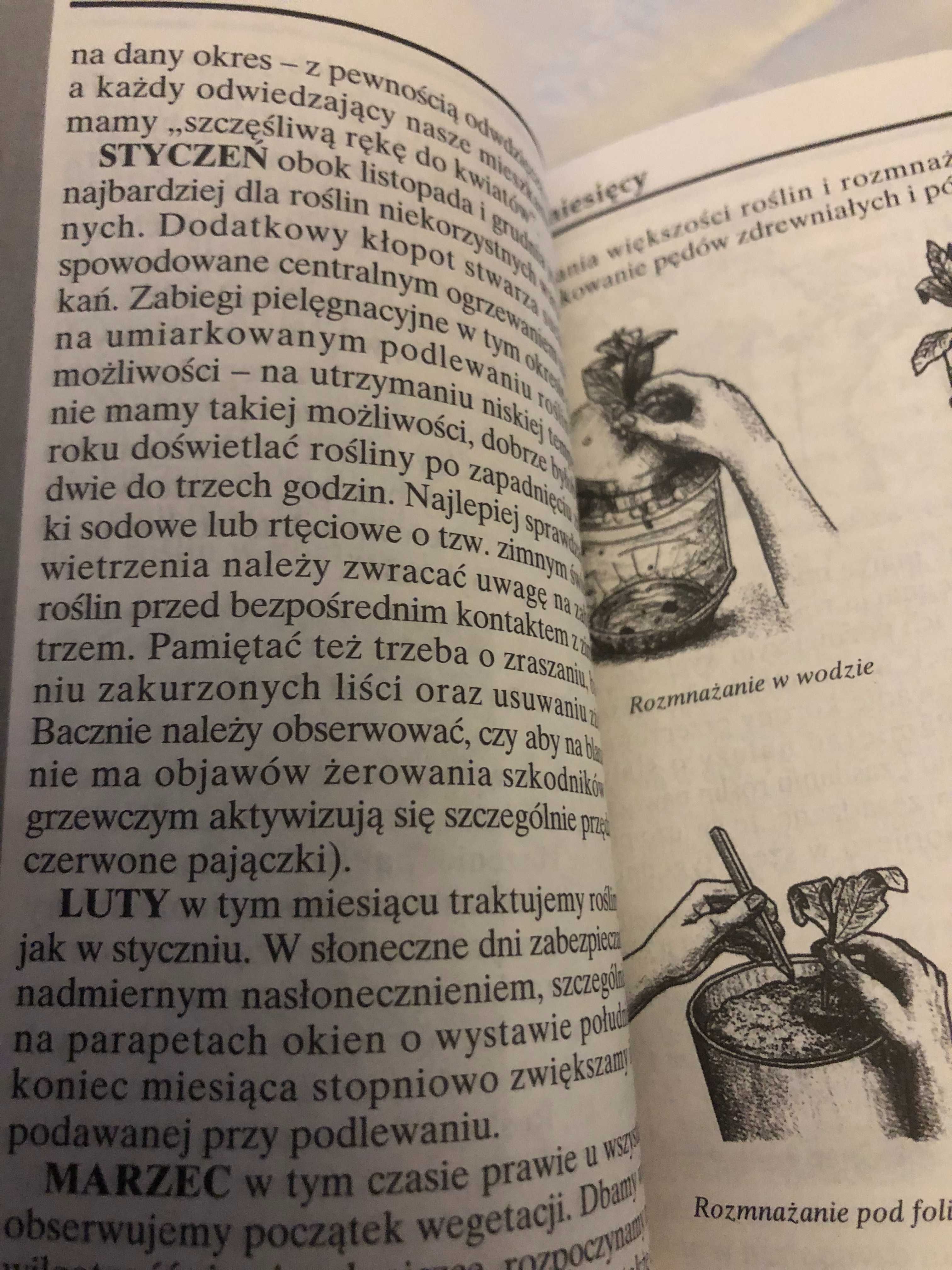 Encyklopedia praktycznej uprawy roślin domowych ,wyd.1993