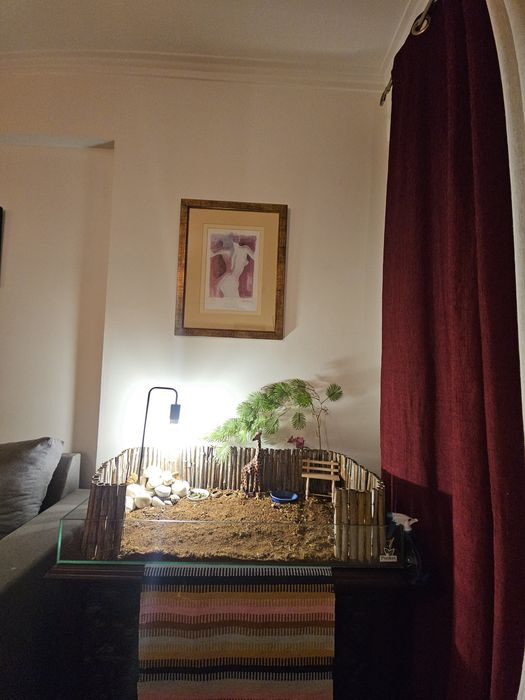 Terrario para animais