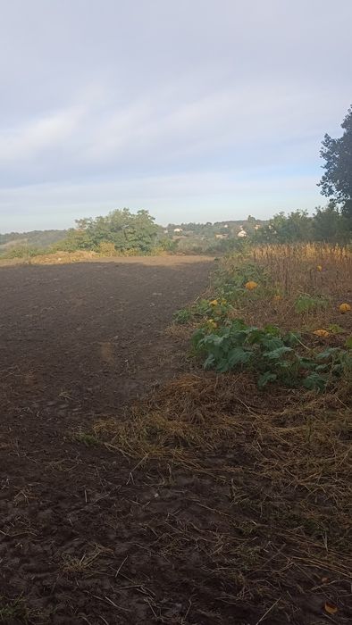 Земельна ділянка