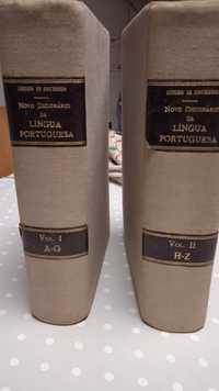 Dicionário Língua Portuguesa