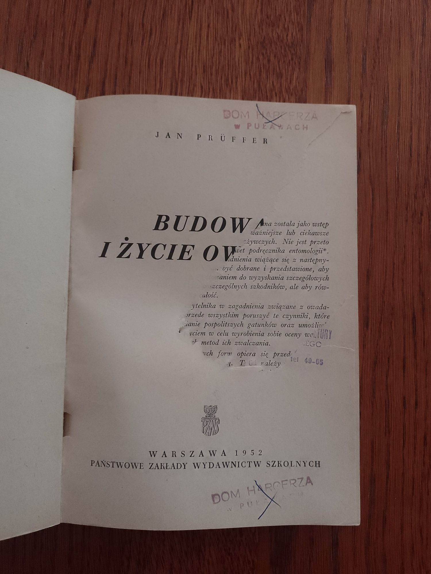 Budowa i życie owadów