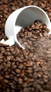 Кофе в зернах! СУПЕР вариант для Вендинга 30%70%!Цены ТОП,розница,ОПТ!