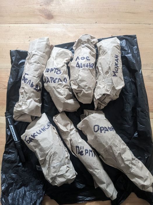 Батат органический ( для еды , маточные клубни ,  рассада на весну )