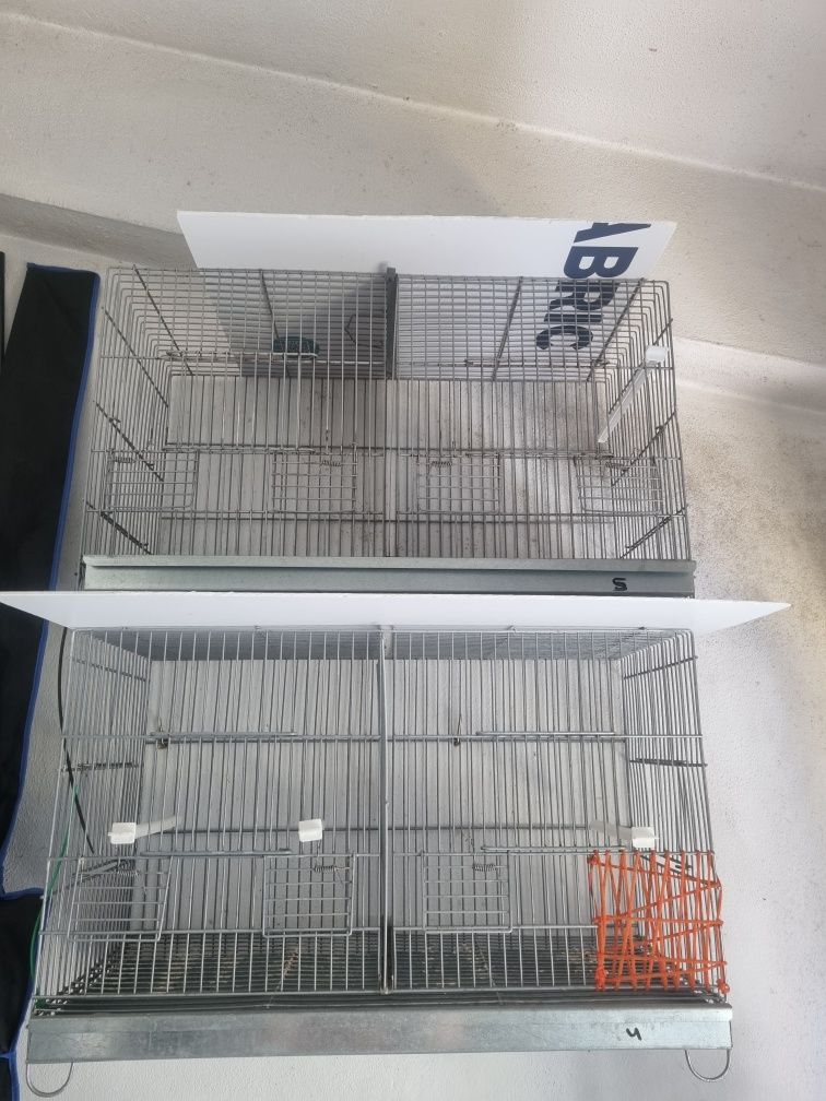 Gaiolas de criação para canários/ canario hoso japones canela