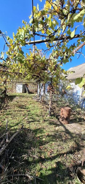 Продам дом Одесская область,  Раздельнянский район