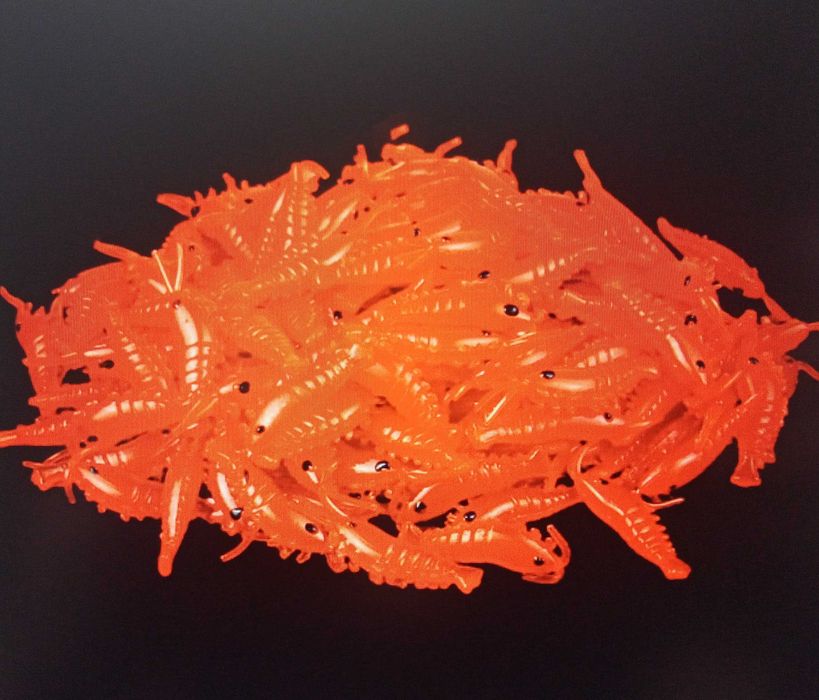 Krewetki i żuki sylikonowe