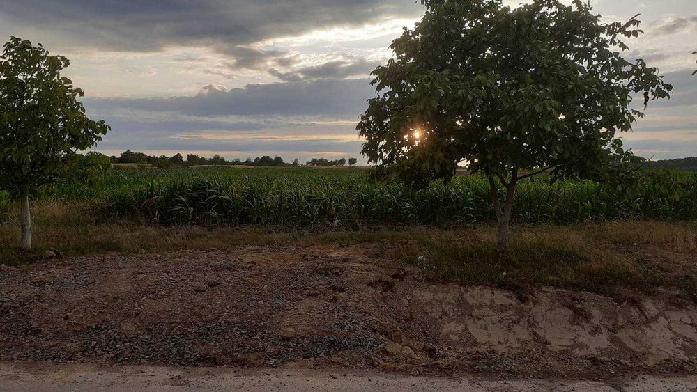 Земельна ділянка під Постройку в с.Пістрялово