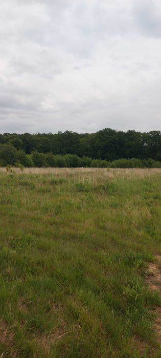 Siedlice sprzedam działkę budowlaną