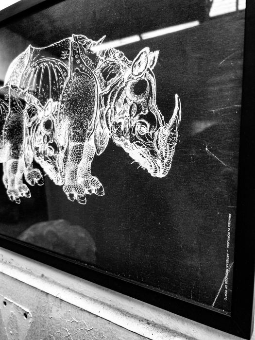 invulgar impressão em Offset dos anos 70 de manada de rinocerontes