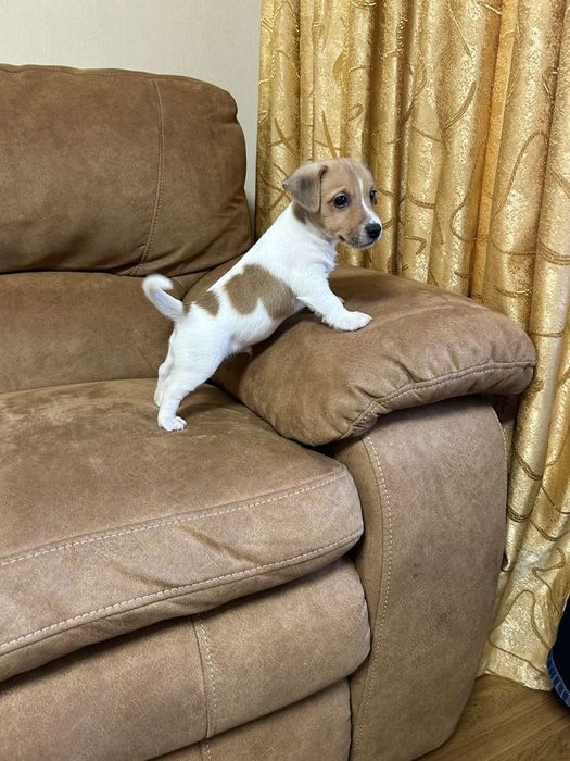 Добрий та веселий