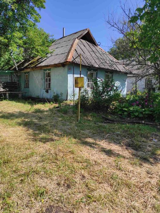 Продаж обісця в екологічно чистому р-ні