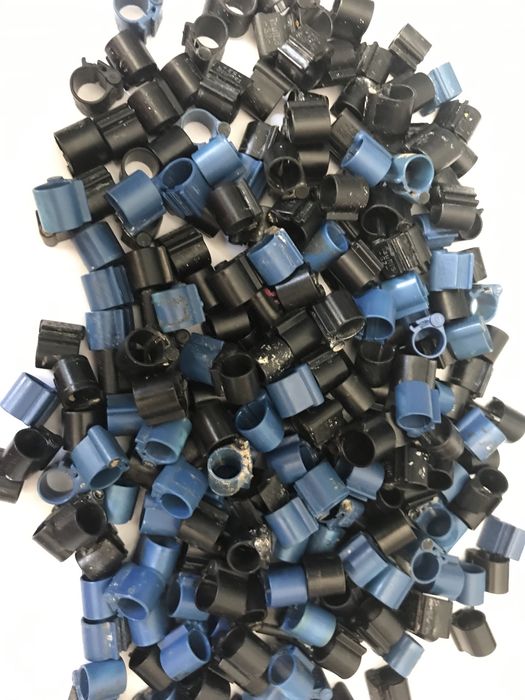 Tauirs s2 - tipesy - obrączki dla gołębi