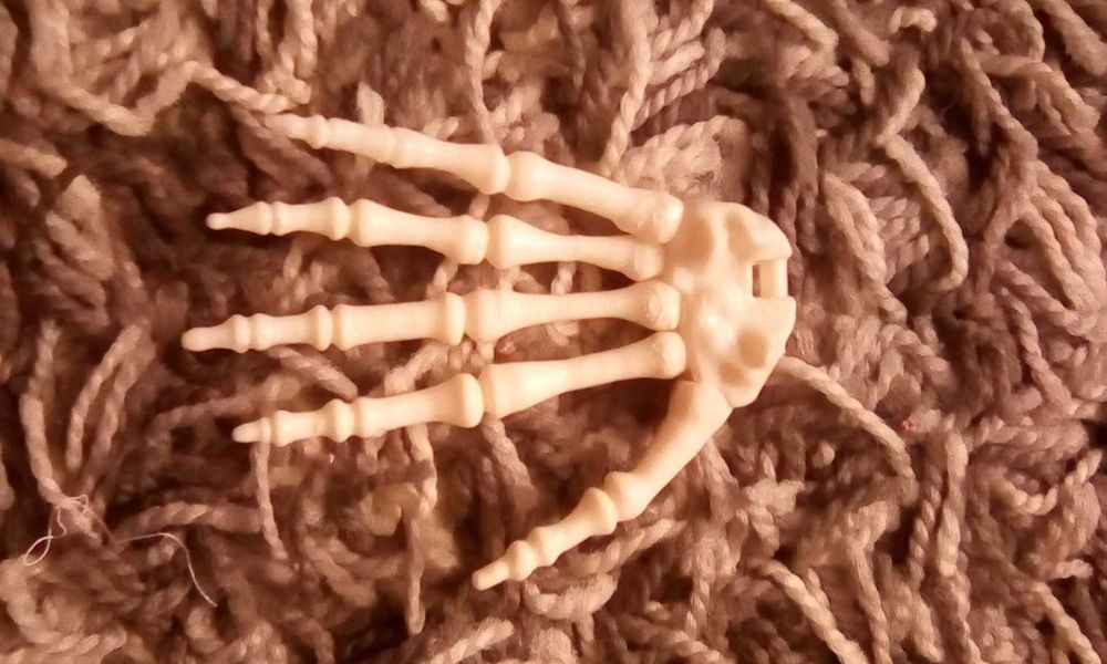 Dłoń lewa kostek szkielet człowieka Tajemnice ludzkiego ciała