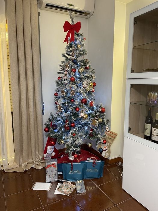 árvore de NatalE todas as decorações