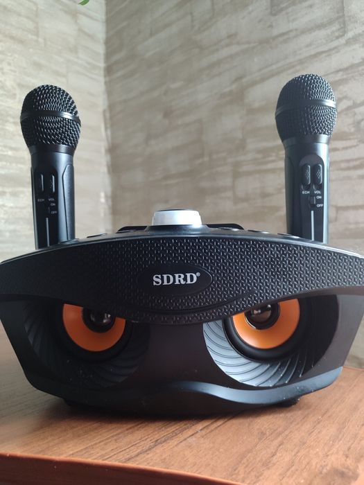 Портативна блютуз колонка, з караоке системою