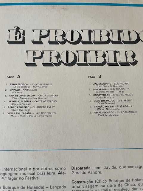 Vinil música brasileira (2 LP)