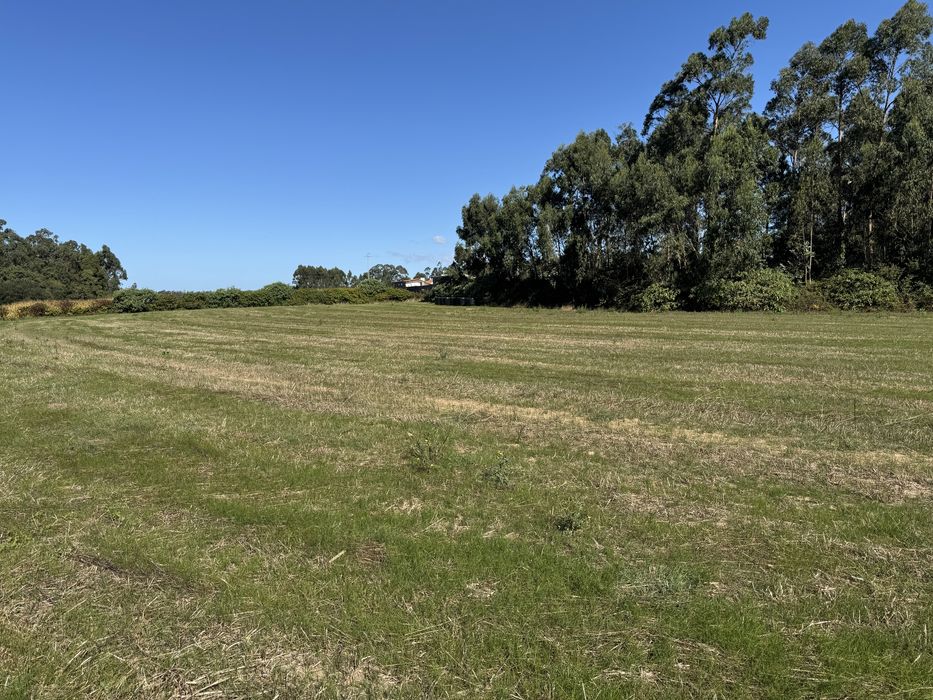 Alugo Terreno 8000m² em Lavra (Matosinhos) – Agricultura ou Animais