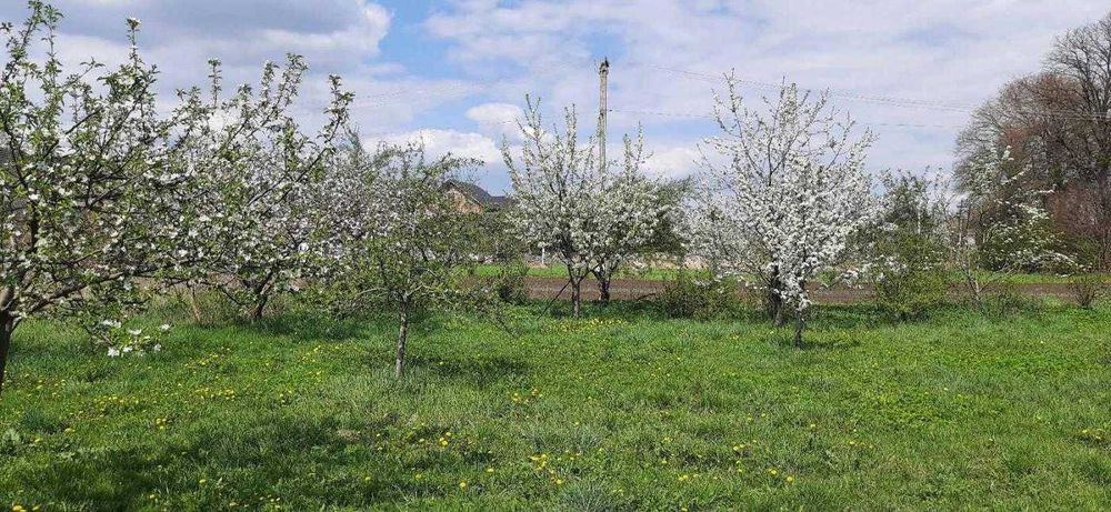 Будинок,Двоповерховий, Ременів, Львів