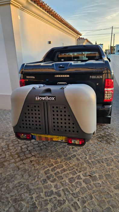 Transportadora de cães