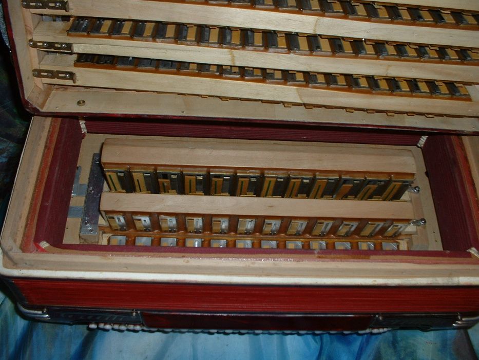 Acordeão Avenda G, .549