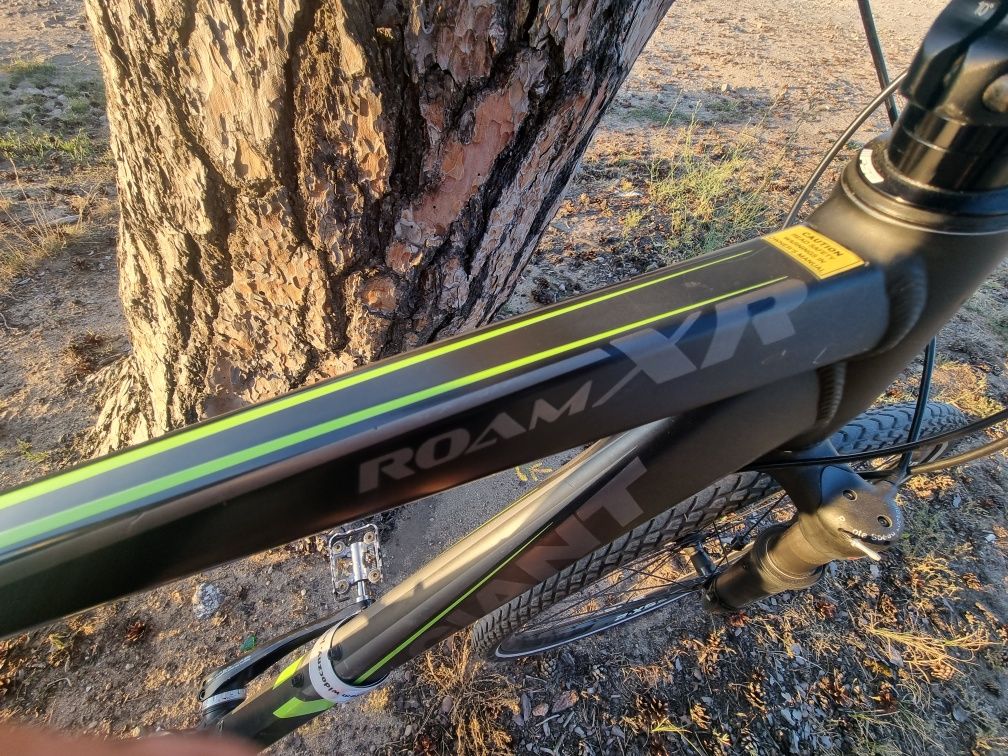 Rower Giant Roam Xr1