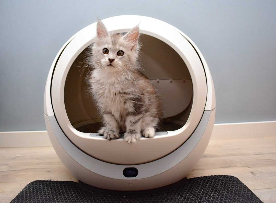 Automatyczna kuweta samoczyszcząca Petree dla kota, fajna taka