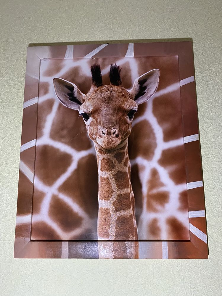 Картина,постер деревянный,картина интерьерная в детскую,жираф