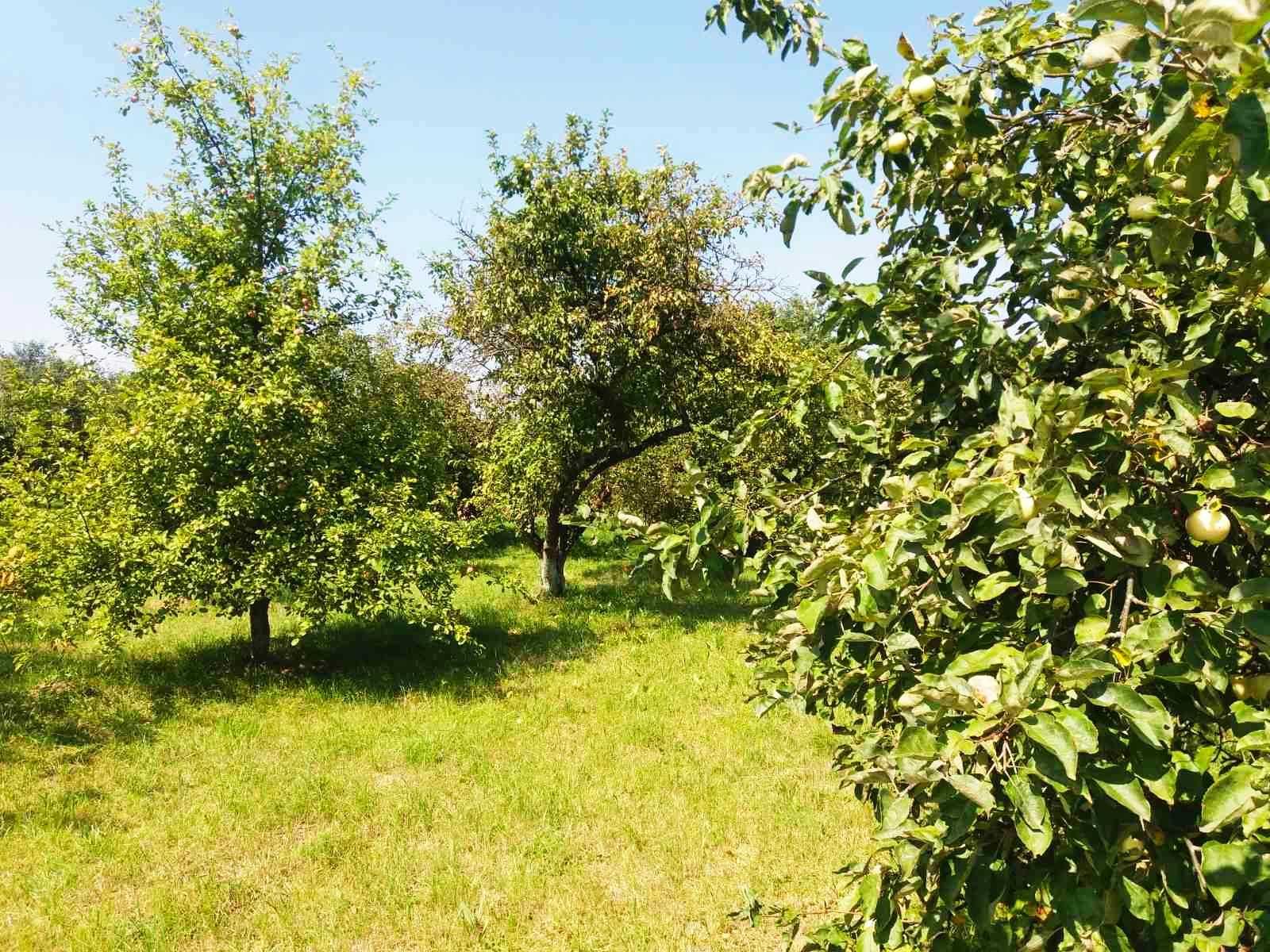 продам земельну ділянку 29 соток в м. Болехів вул. Січових Стрільців
