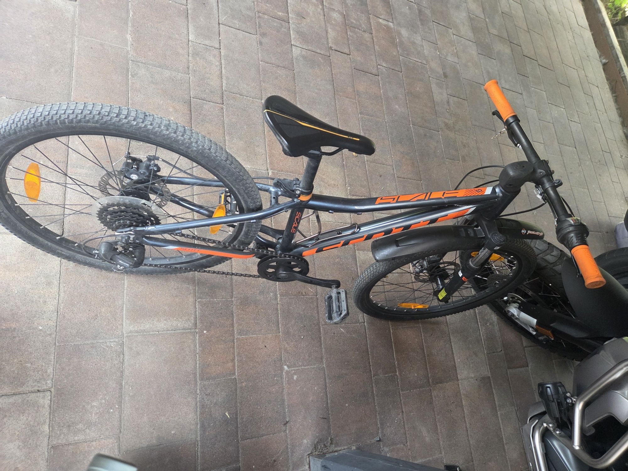 Scott scale 24 rower dzieciecy