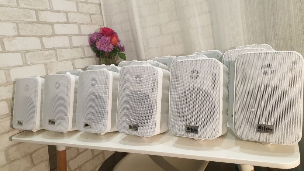 12 штук. Фоновая акустика, подвесные колонки, мониторы. 30w.