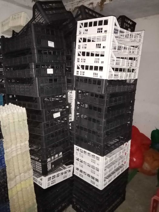 Skrzynki plastikowe różne rodzaje po warzywach. Duża ilość.